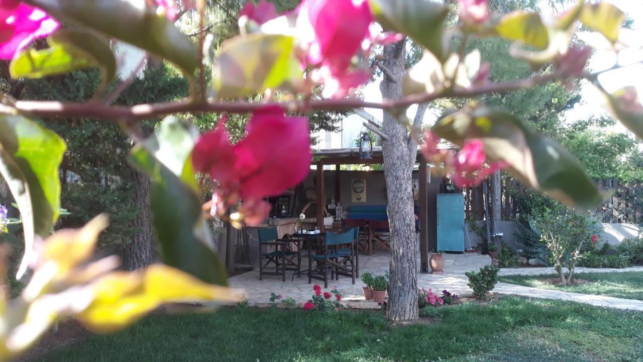 Home Sweet Home Луца Экстерьер фото